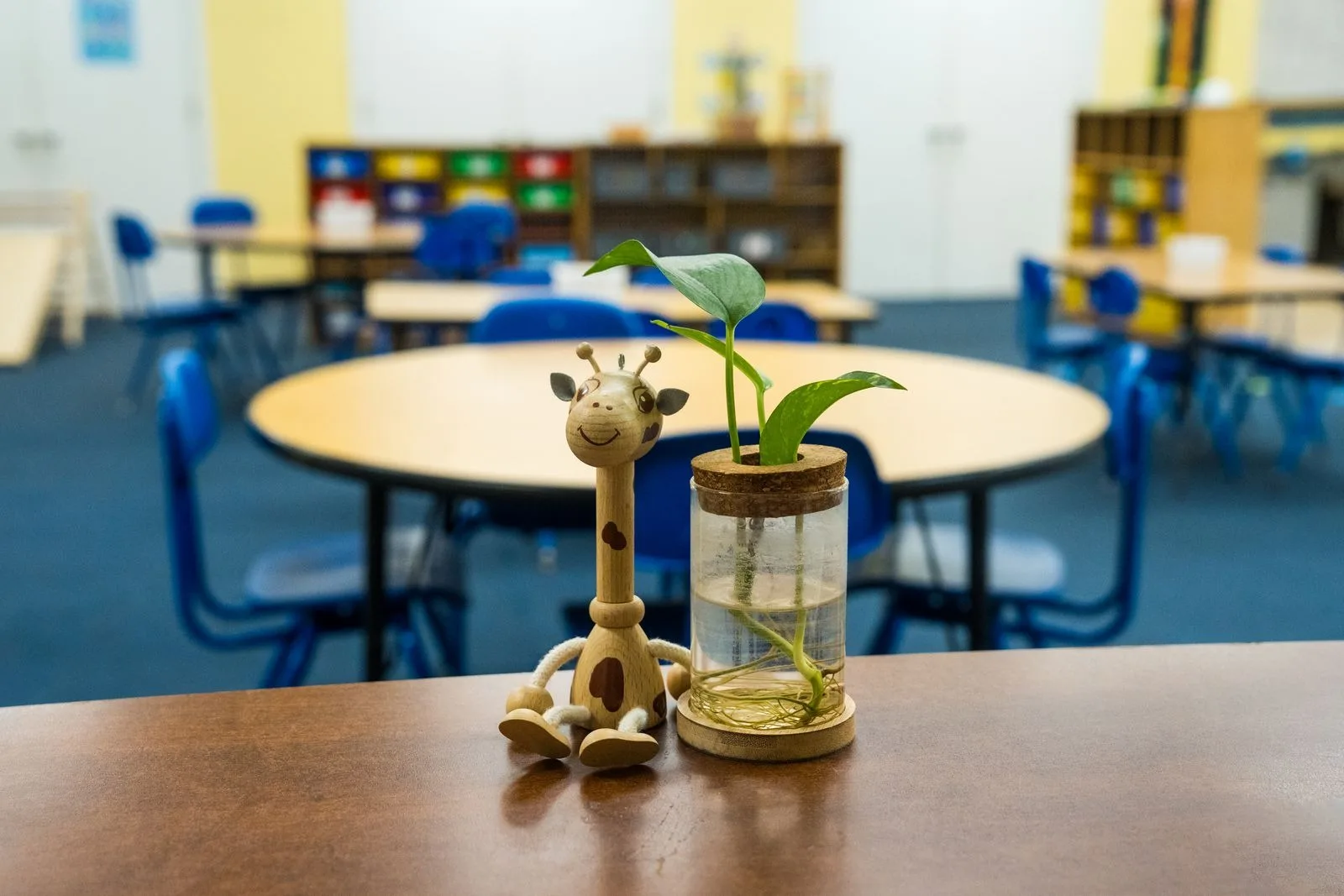 A wooden giraffe and a plant cutting rooting in a jar on a classroom table